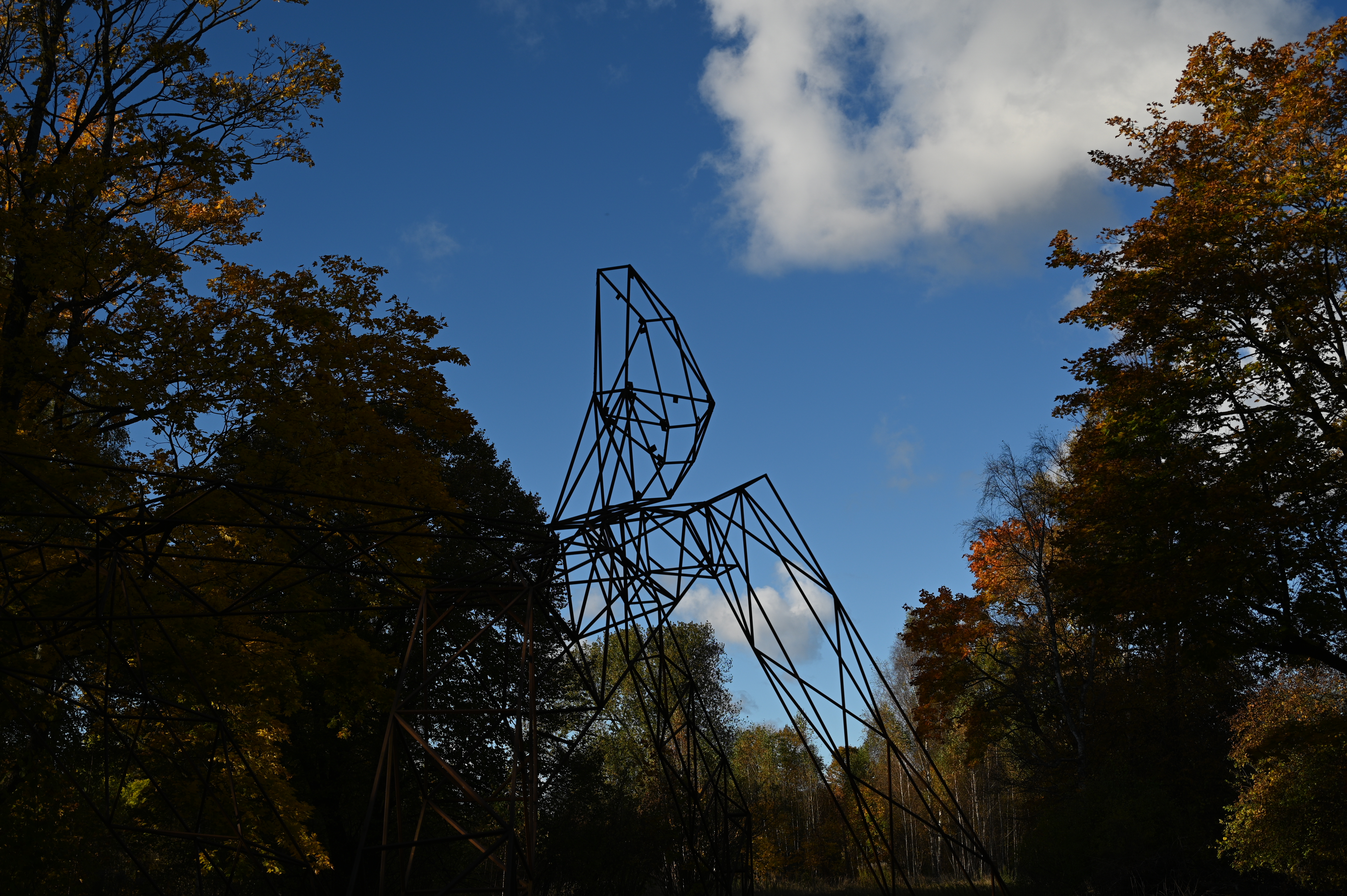 2025/10/18 - walk/DSC_0113.JPG